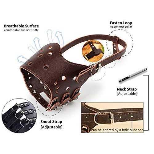 Leather Dog Muzzle F8134
