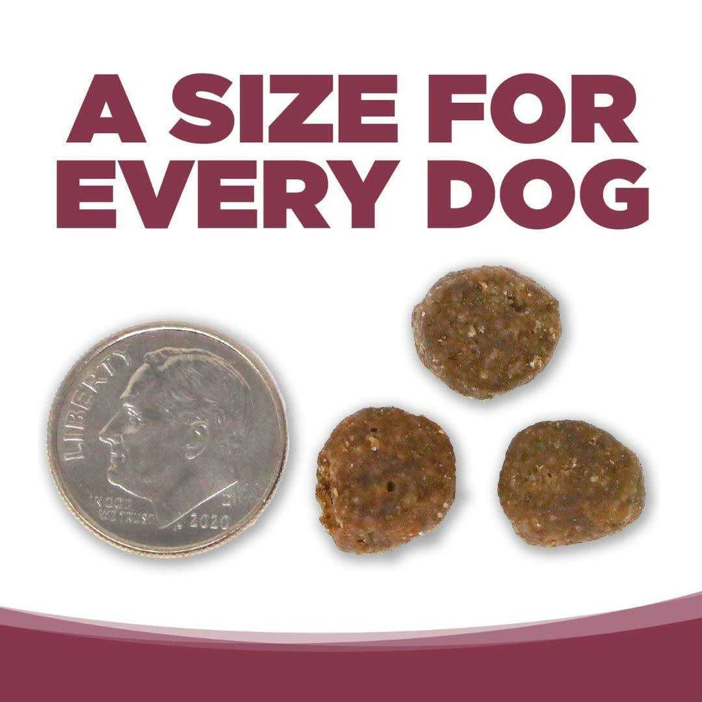 Salmon Potato Dry Dog Food B246054