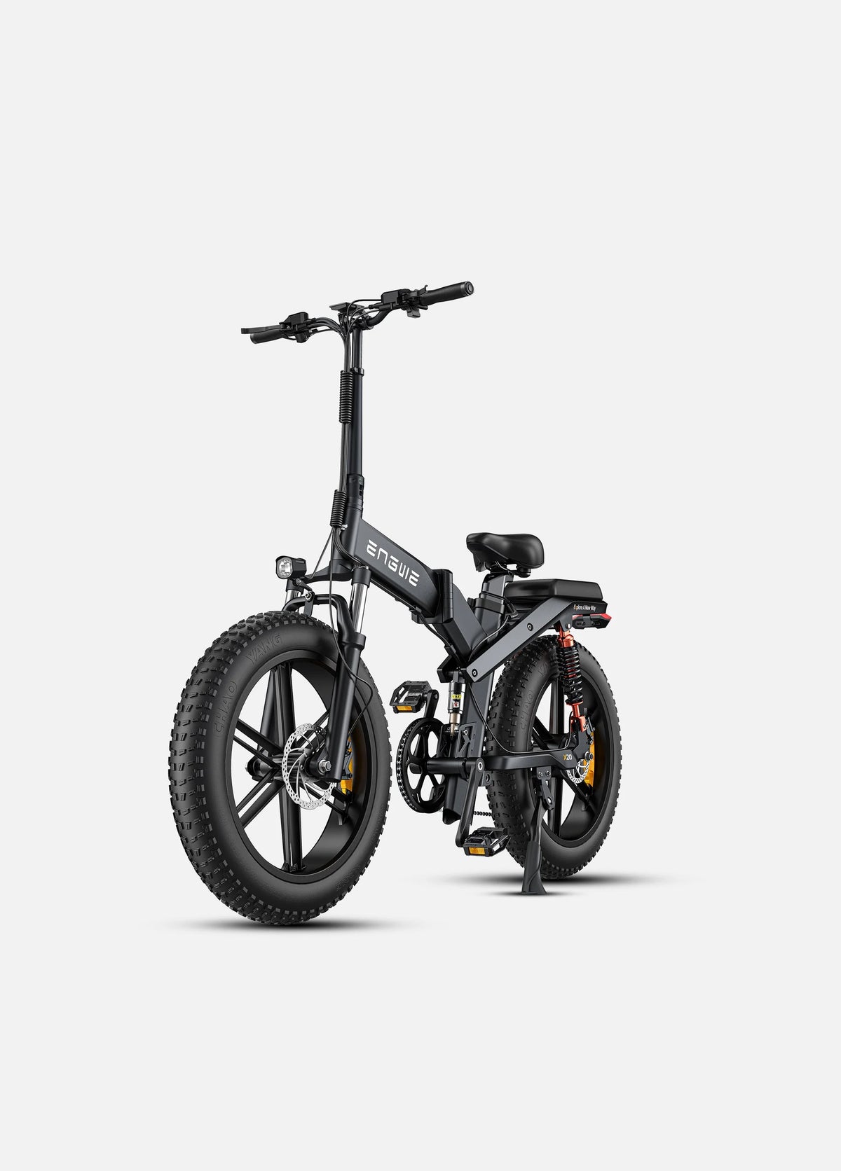 Electric Bike 750W 48V 24 Inch Fat Tire Black V1825