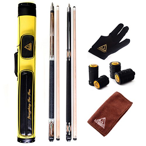 Pool Cue Sticks with Case J5793